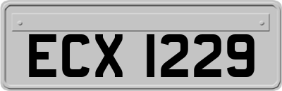 ECX1229