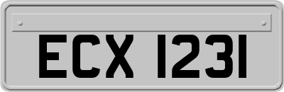 ECX1231