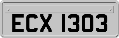 ECX1303