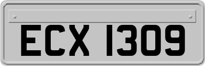 ECX1309
