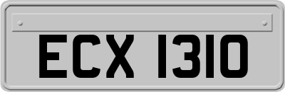 ECX1310