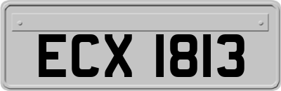 ECX1813