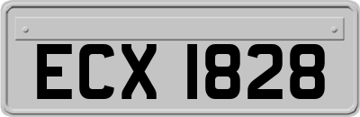 ECX1828