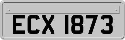 ECX1873