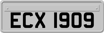 ECX1909