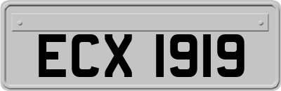 ECX1919