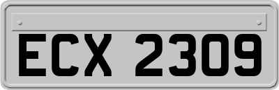 ECX2309