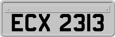 ECX2313