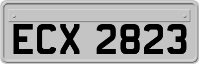 ECX2823