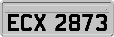 ECX2873