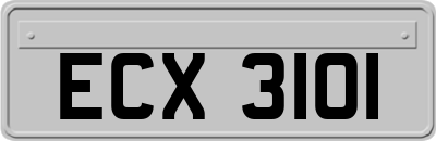 ECX3101