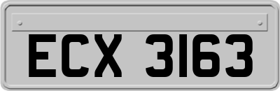 ECX3163