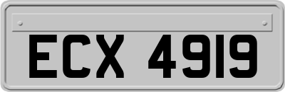 ECX4919