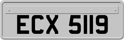 ECX5119