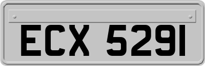ECX5291