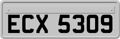 ECX5309