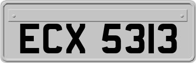 ECX5313