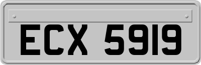 ECX5919