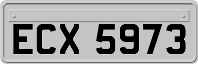 ECX5973