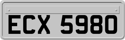 ECX5980