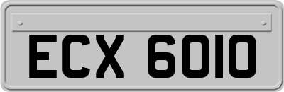 ECX6010