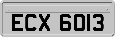 ECX6013