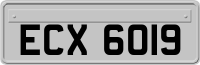 ECX6019