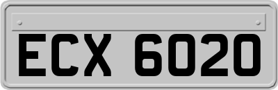 ECX6020