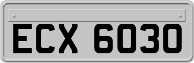 ECX6030
