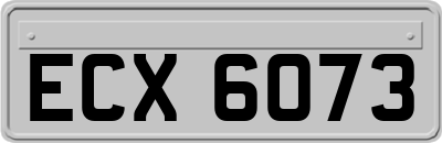 ECX6073