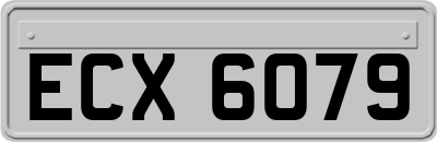 ECX6079