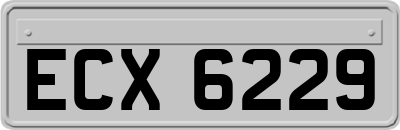 ECX6229