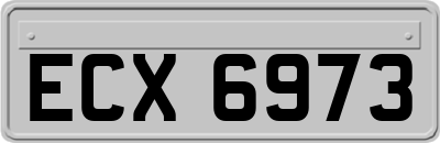 ECX6973