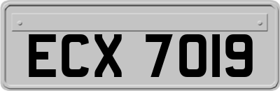 ECX7019