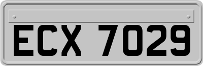 ECX7029