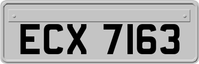 ECX7163
