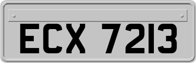 ECX7213