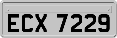 ECX7229
