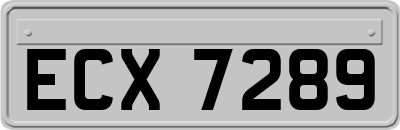 ECX7289