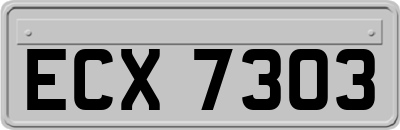 ECX7303