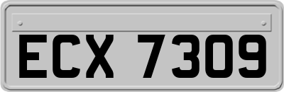 ECX7309