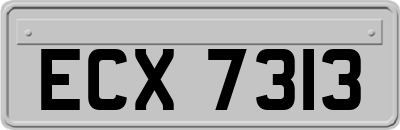 ECX7313