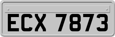 ECX7873