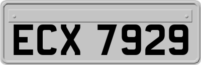ECX7929