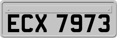 ECX7973