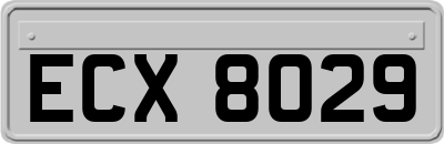 ECX8029