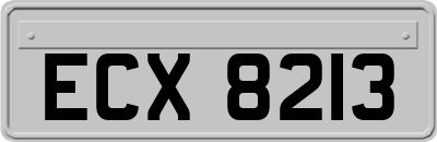ECX8213
