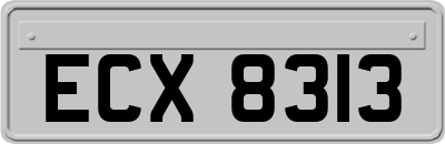 ECX8313