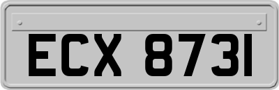 ECX8731