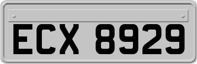 ECX8929